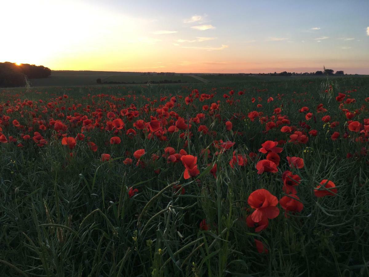 Dupres House, Chavasse Farm, Somme Battlefields Villa Hardecourt-aux-Bois Dış mekan fotoğraf